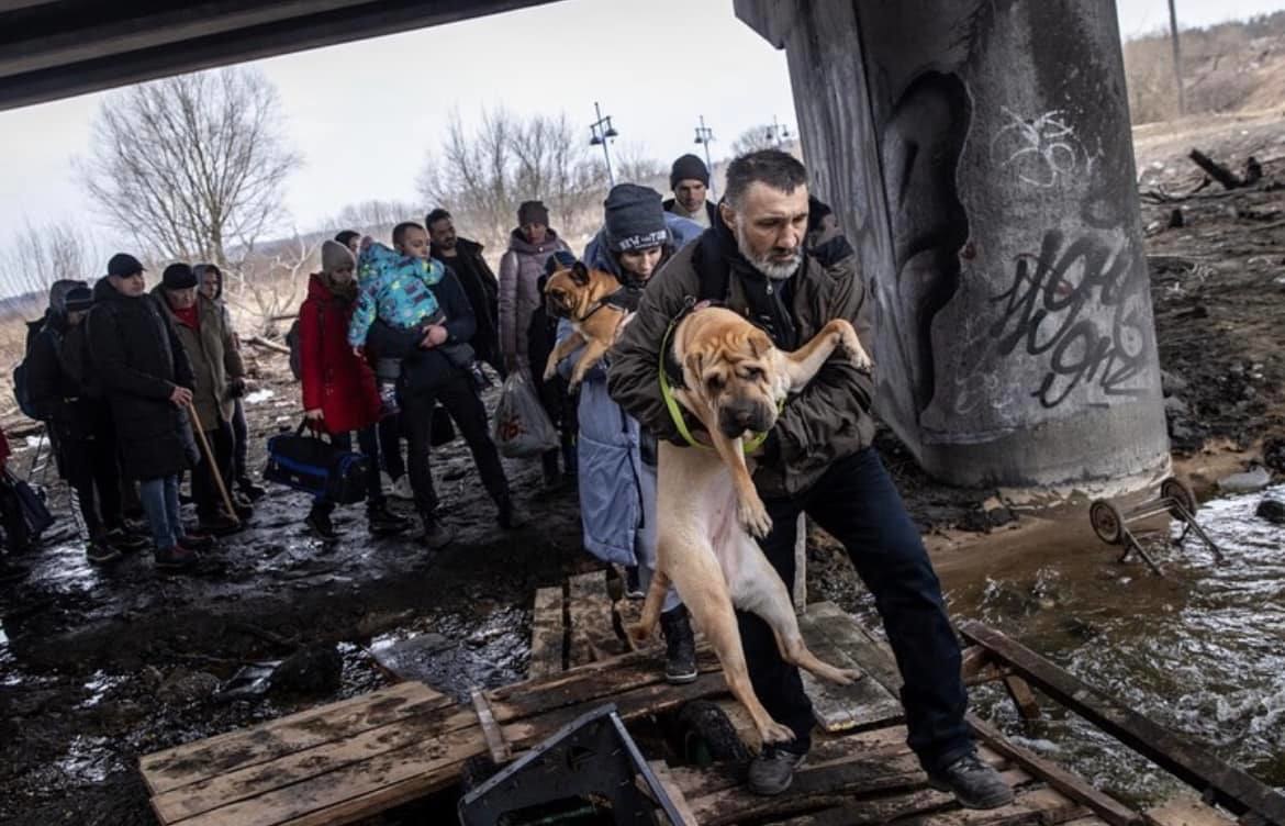 救援 Володимира